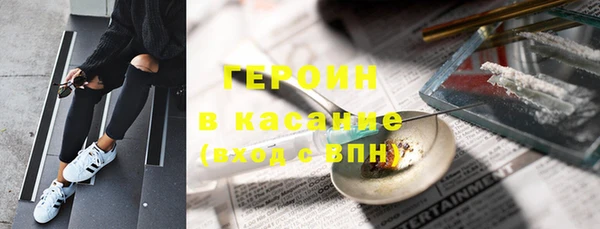 крисы Бородино