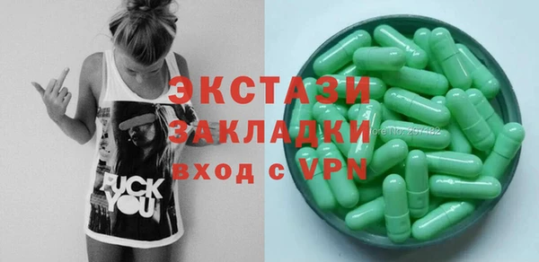крисы Бородино