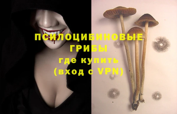 спиды Верхний Тагил