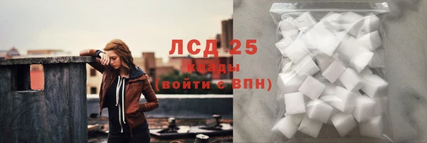 apvp Верея