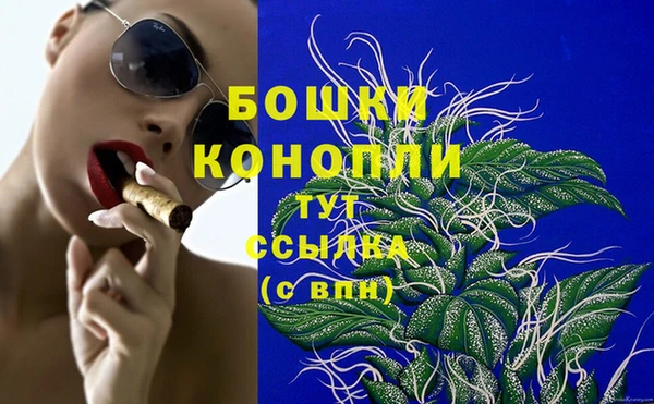 крисы Бородино