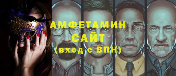 крисы Бородино