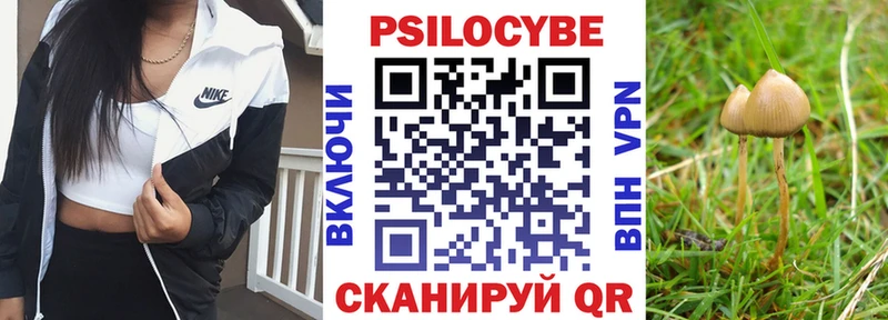 hydra сайт  Кинель  Псилоцибиновые грибы прущие грибы 
